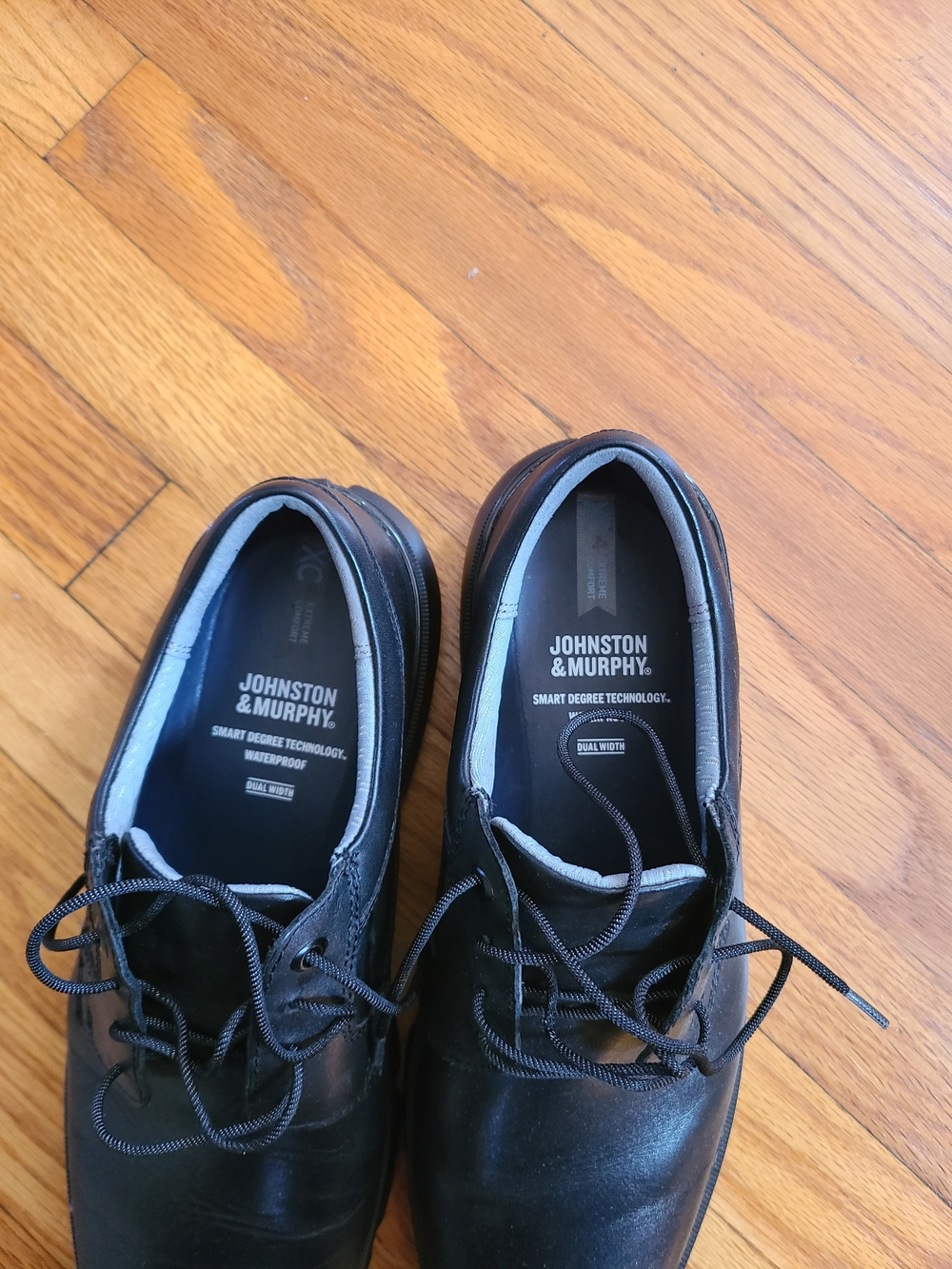 Johnston & Murphy Black Leather Lace-Up Derbys with Gray Trim